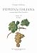 Pomona Italiana Ossia Trattato Degli Alberi Fruttiferi. Uve (Vol. 7) - 3