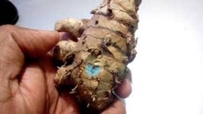 Image of Kali Haldi or Black Turmeric or Narkachur or Narkachoor Raw and Natural (200 gram)