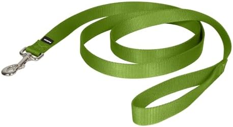 PetSafe Leash, 1" x 6', Large, Apple Green