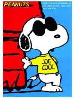 Amazon Co Jp スヌーピー ピーナッツ キャラクター ポスター Snoopy Peanuts サングラス 並行輸入品 ホーム キッチン