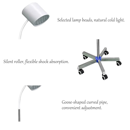 Lampe mobile pour animaux de compagnie et auscultation médicale sans ombre - 5
