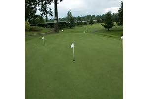 Outsidepride: Perennial Shade Tolerant Creeping Bluegrass
