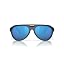 Matte Black/Blue Mirrored Polarized 580g