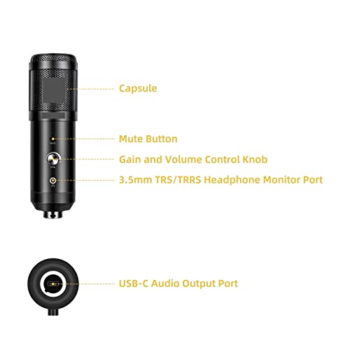 Microphone cardioïde USB AU01-K2 pour PC et smartphone
