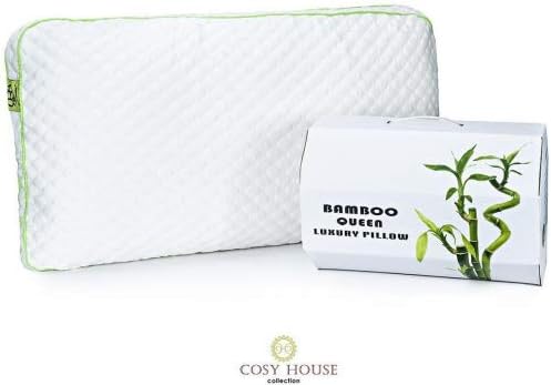 Queen Size Premium Memory Foam Pillow - Hypoallergenic Bamboo Cover, Super Soft Fabric Cover Made with Bamboo Rayon Viscose Derived from Natural Bamboo Fibers