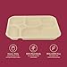 Chuk 5 Compartment Bagasse Divided Plates, 12 x 9.5 Inch Heavy Duty Compostable Lunch Trays (25 Pack), Disposable Sectional Plates for School Lunch, Cafeteria, Catering & Buffet