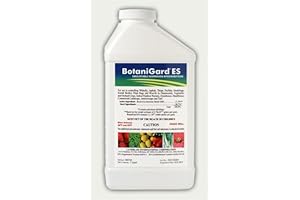 BotaniGard 22WP: Effective Insect Control for Hydroponic Systems