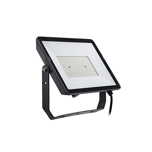 Philips Projectline Projecteur LED pour éclairage extérieur commercial Blanc 100 W 3000 K