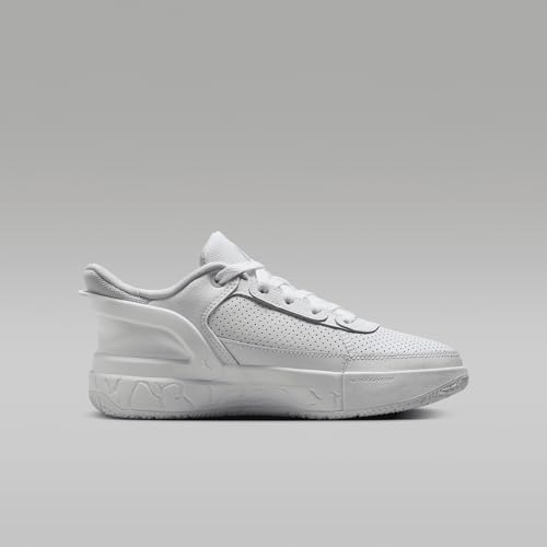 Jordan DAY1 EO Big Kids' Shoes (FQ1306-101, White/Summit White/Pure Platinum) Size 73