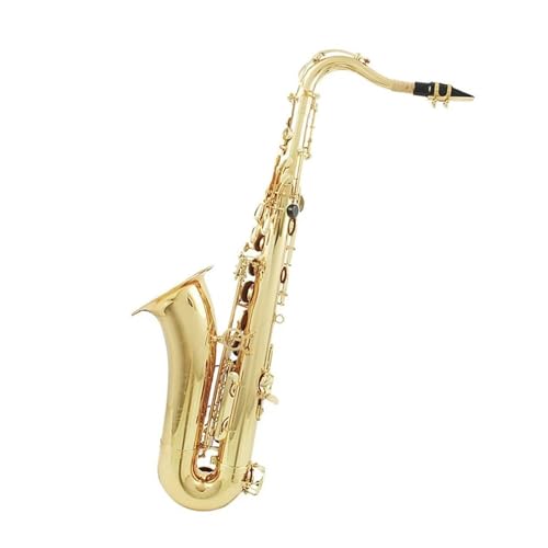 ���t�F�b�V���i���T�b�N�X Bb �^�J�ǃA���g�T�b�N�X�v���p�؊Ǌy��A�P�[�X�A���[�h�A��܁A�A�N�Z�T���[�t��(Golden Sax)