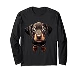 Photo Gallery cucciolo di doberman pinscher maglia a manica Photo Gallery cucciolo di doberman pinscher maglia a manica
