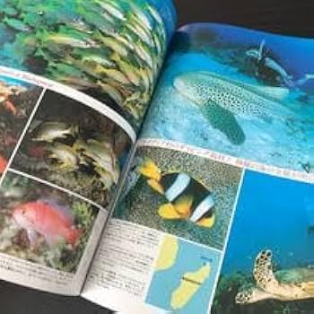 Amazon.co.jp: ノ21 海と島の旅 2006年8月 No.324 モルディブ