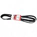 Motorcraft JK8996AA Drive Belt