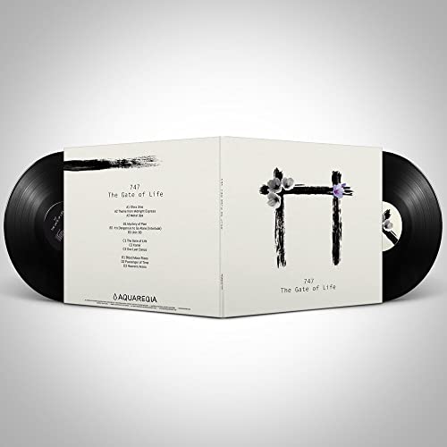 Gatefold Vinyl Records Outer Sleeves – 12 inch Double Sided Protective LP Album Covers 3 Mil Poly Clear Plastic Vinyl Record Storage Jackets – 25 Pack - Les Beatles, Paul McCartney, John Lennon, RIngo Starr, George Harrison Gatefold Vinyl Records Outer Sleeves – 12 inch Double Sided Protective LP Album Covers 3 Mil Poly Clear Plastic Vinyl Record Storage Jackets - 25 Pack