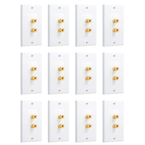 Placa de pared con conector banana rieder de una banda para conexión limpia de altavoz