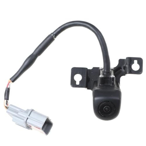 Caméra de recul 957602W641 pour réparer l'écran noir de votre auto