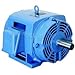 Weg Electric Motors WEG NEMA Premium Efficiency Motor, 30018OT3G447/9T, 300 HP, 1800 RPM, 460 V, ODP, 447/9T, 3 PH