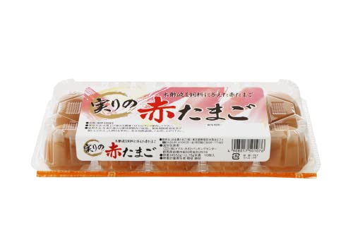 九州産赤玉「太陽卵（10個入10パック）」送料無料