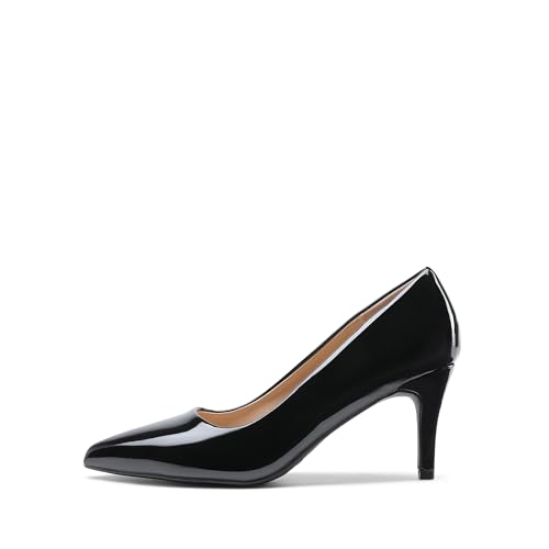 DREAM PAIRS Women's High Stiletto Heels Closed Pointed Toe Dress Pumps Shoes for Wedding Work Office Business, 3 Inches2