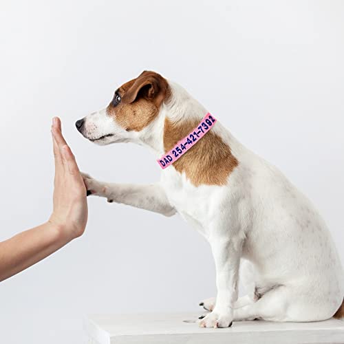 Coleira Cachorro Bordada Com Identificação Pet (20-45cm, Azul)