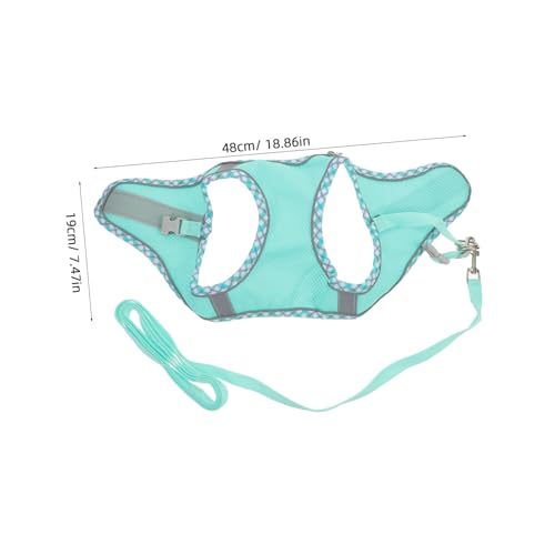 ERINGOGO p\n[lX [h yʑϋvŔɂ ^^K KtBbg ˑf UPpO[