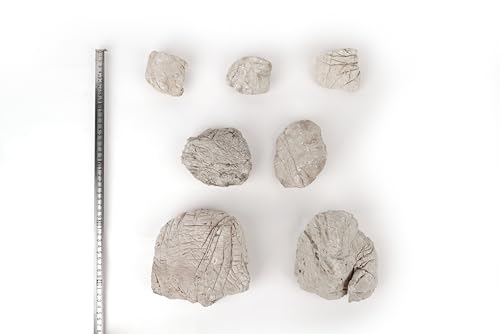 Image of LANDEN Elephant Skin Stone Natural Multi-Texture Rocks Grey(18lbs, 3~9 inches,7pcs) for Aquarium, Paludarium, Terrariums, Landscaping, Decorative of Caves, Waterfalls, Cliffs