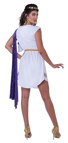 California Costumes 01591 Grecian Toga Dress Character Adult Costume, Solid, Gold,Purple,White, One Size