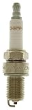 Champion High Performance 1027 Spark Plug (Carton of 1) - QC61YC