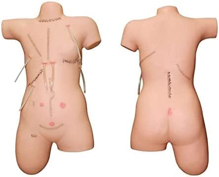 LMEILSuture Training Manikin for Medical Students, High Simulation Surgical Trauma Surgical Suture Simulating Incision Rubber Man Display for Training Medical Professionals.