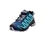 Legion Blue Trooper Mint Leaf