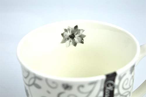 YöL Set of 4 Coffee Mugs Tea Cups Floral Swirl Grey Black White New Bone China Large 400ml