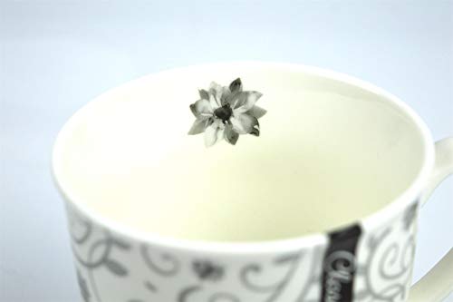 YöL Set of 4 Coffee Mugs Tea Cups Floral Swirl Grey Black White New Bone China Large 400ml - Image 4