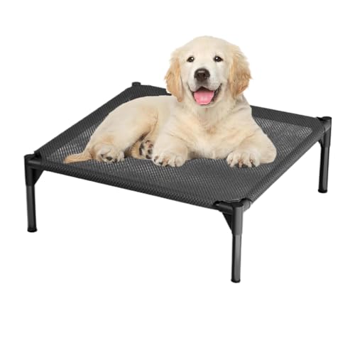 Lit pour chien d'extérieur Feng Shui : fini le couchage mouillé en voyage et camping d'hiver