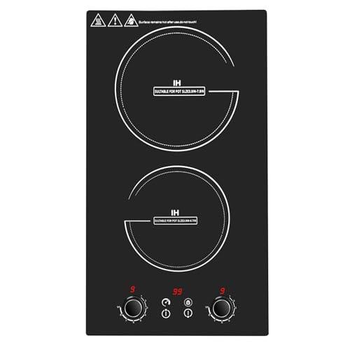 Wesonorous Double Induction Cooktop 110V 2600W 2 burner induction cooktop with hot plat with LED Touch Screen 10 Levels Child Safety Lock & Timer 110V countertop burners