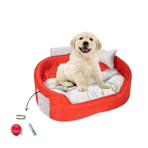Expecting Smile Reversible with Attached Blanket to Cover Your pet in Winter Season, Soft Velvet Sofa Shape Dog Cat Pet Bed,Chair Soft and Comfortable,Red/Grey_3 (B0BLVKBN64) Amazon Price History, Amazon Price Tracker