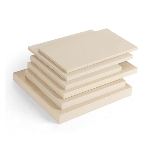 Feuille de PEEK 200x200x2mm de matériel isolant plastique