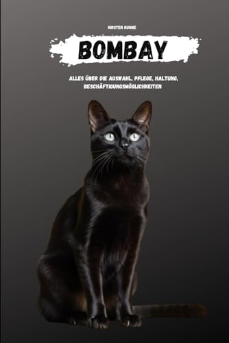 Bombay: alles über Auswahl, Haltung, Pflege, Beschäftigungsmöglichkeiten