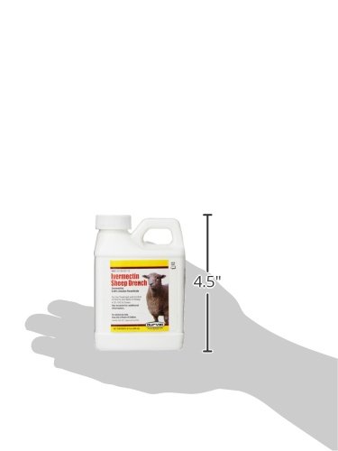 Durvet Ivermectin Sheep Drench - Image 3