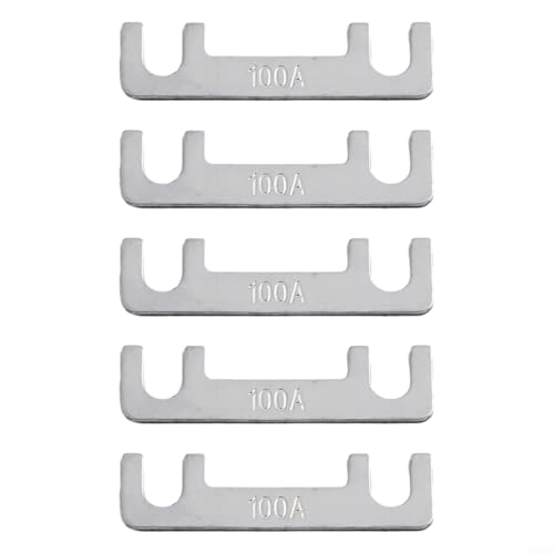 Lot de 5 fusibles plats 32 V 30 A 100 A pour voiture et moto (100 A)