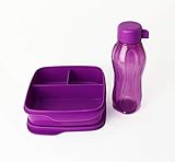  Clevere Pause TUPPERWARE to Go Lunchbox 1X 550ml Fuschia mit 3-Fach Einteilung + 310ml Eco Easy Trinkflasche to go Fuchsia/Lila + Kiwilöffel