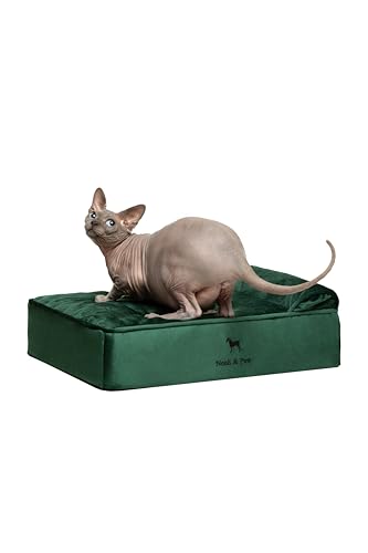 NOAH & PAW Small Dog Bed, 20x15x8 Inch, Cat Bed for Indoor Cats, Orthopedic Eggshell Memory Foam Infused with Cooling Gel, Waterproof, Machine Washable, Includes Inner Cover (Velvet Collection)