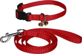 Passion Small Dog Puppy Harness Adjustable, Belt and Collar Combo Set (Waterproof, Nylon) (Red, Small) (B0CH2YHGY3) Amazon Price History, Amazon Price Tracker