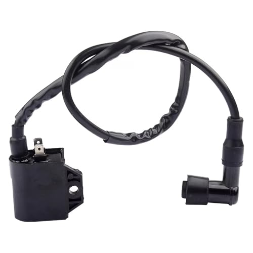 Bobinas de encendido Suzuki para repuesto de moto CDI y ATV LT-A400 King Eiger