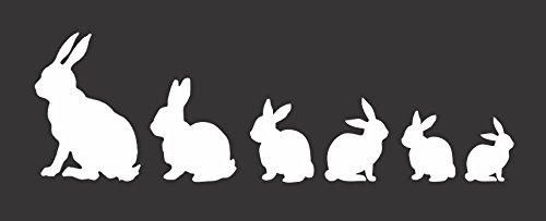 Bunny Family Rabbit Easter - Die Cut Vinyl Window Decal/Sticker for Car/Truck (White)