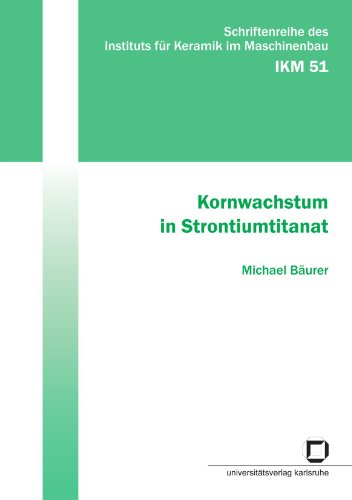 Kornwachstum in Strontiumtitanat: Dissertationsschrift (Schriftenreihe des Instituts für Keramik im Maschinenbau)