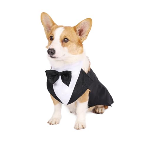 Traje formal con moño para perros talla L miniatura 5