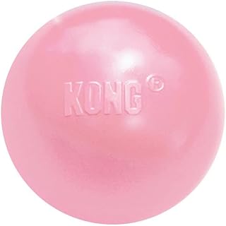 KONG - Puppy Ball - Soft Rubber, Dog Fetch Toy for Teething Pups (Assorted Colors)