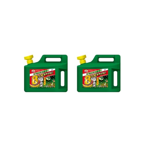 Œ8JGh ͏  4.5L eʃ^Cv ܂Ō͂炷 Eԏp (2)