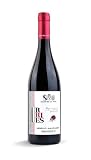 Urries Nerello Mascalese Cantina La Vite