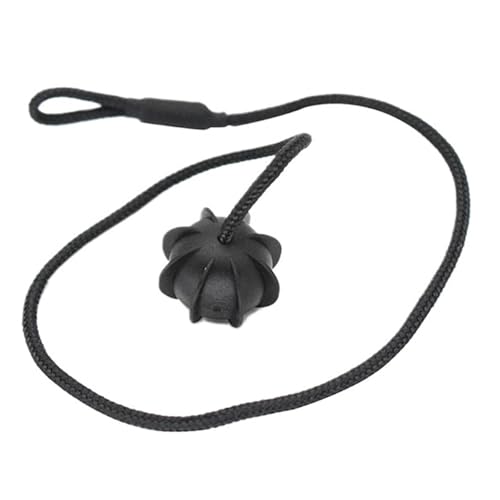 Clip de bandeja de paquetes de maletero compatible con Skoda Octavia A5 y A7